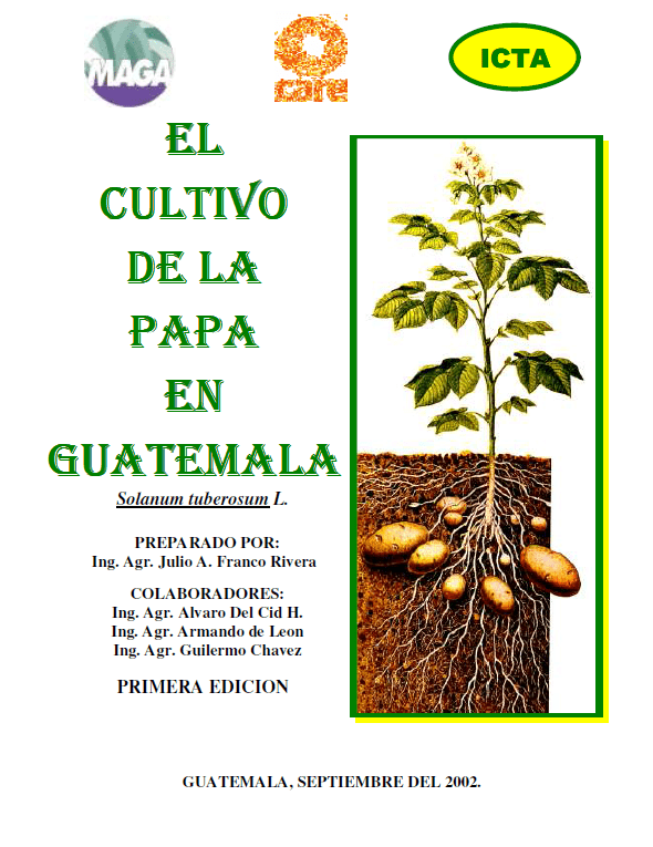 El cultivo de la papa en Guatemala (2002)